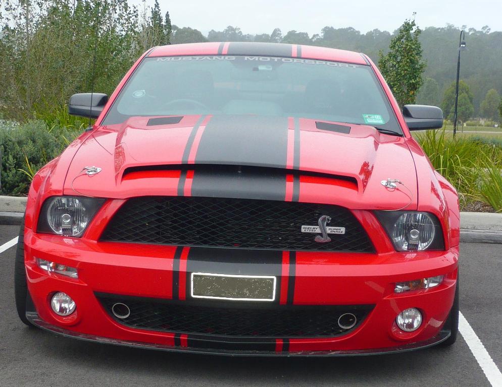 shelbySS 2