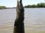 post-6204-1148029822_thumb.jpg
