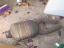 post-6802-1162181716_thumb.jpg