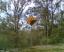 post-8-1140162883_thumb.jpg